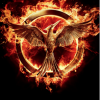 hungergamesmockingjay
