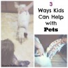 kids-help-with-pets