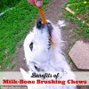 milk-bone-brushing-chews