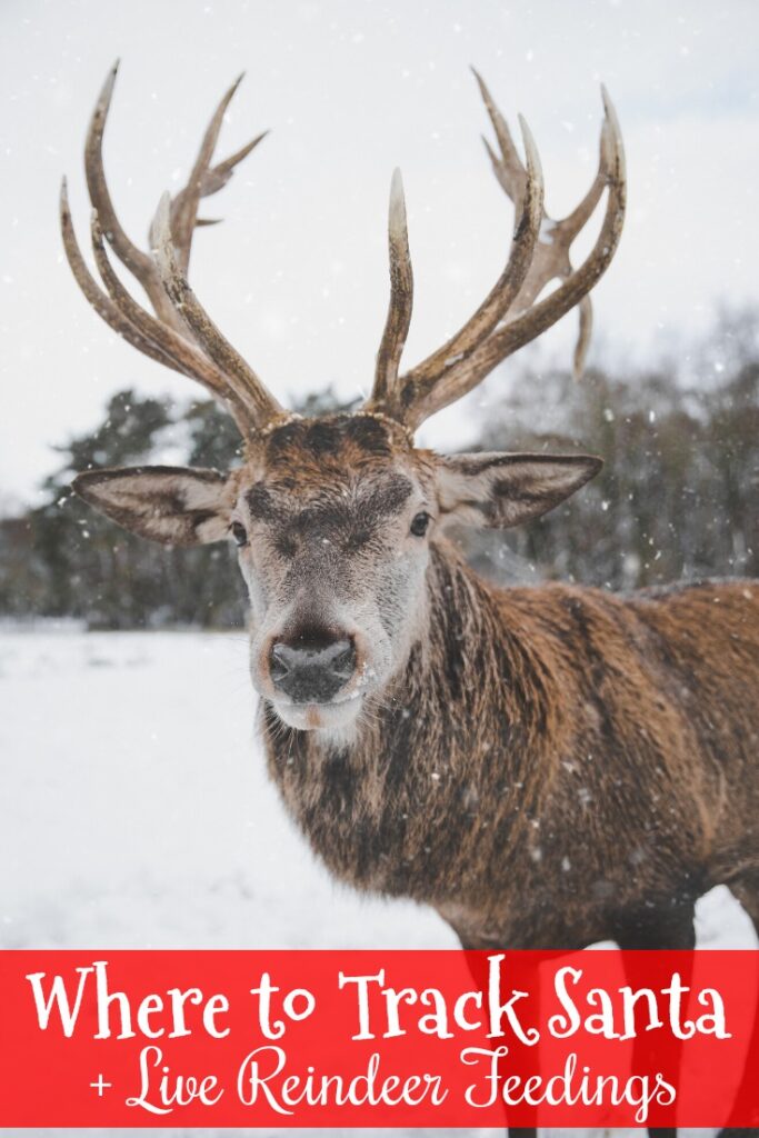 where-to-get-letters-from-santa-postmarked-from-the-north-pole