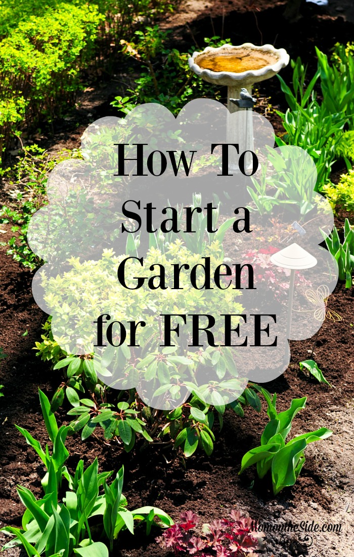How to Start a Garden for Free