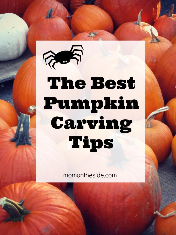 The Best pumpkin carving tips