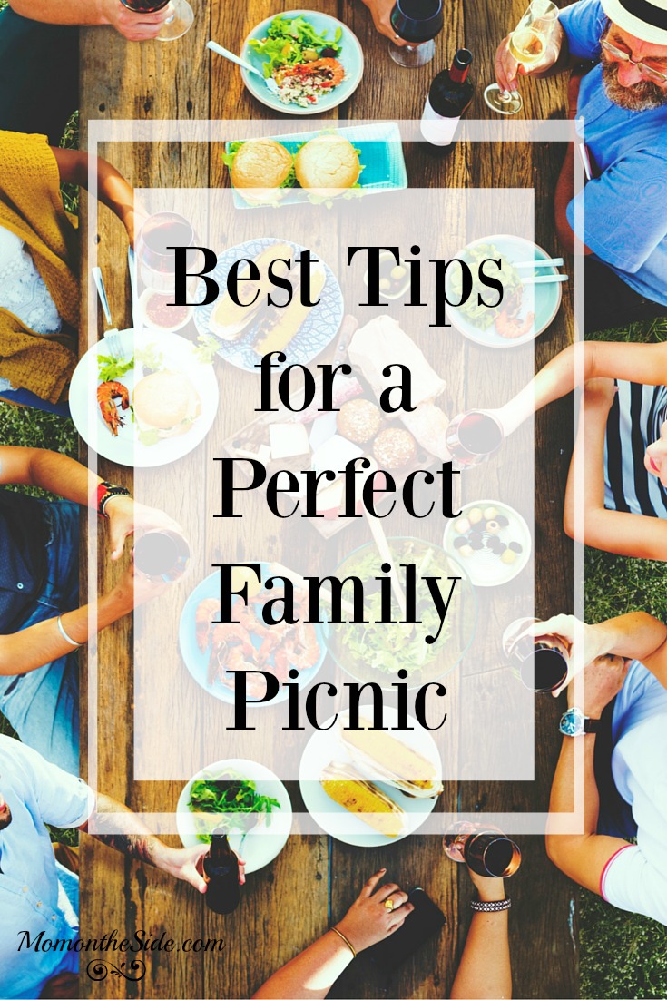Best Tips for a Perfect Family Picnic