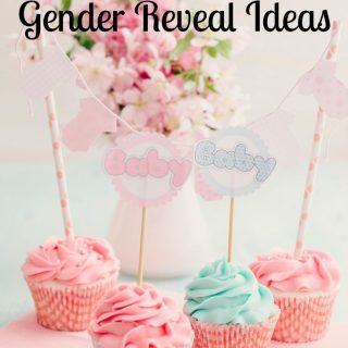 14 Twins Gender Reveal Ideas to Announce the Exciting News