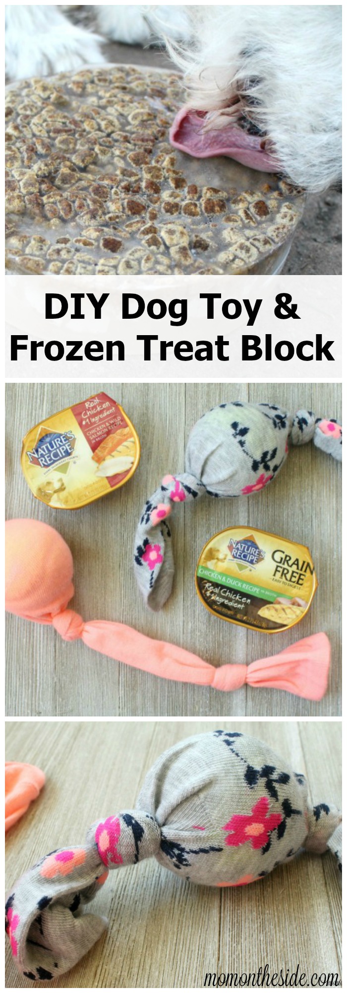 Spoil your four legged family member with a DIY Dog Toy and Frozen Treat Block with Nature's Recipe now Walmart.