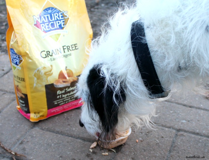 Nature recipe dog food coupons clearance printable