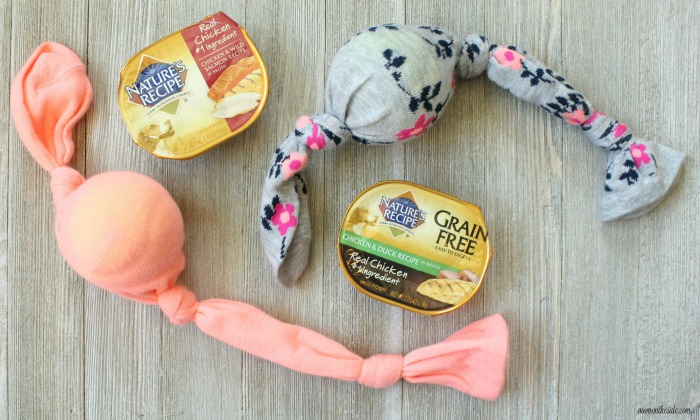 DIY Dog Toy and Frozen Treat Block with Nature's Recipe