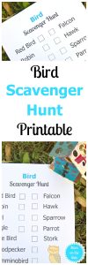 Bird Scavenger Hunt Printable for Kids | Mom on the Side