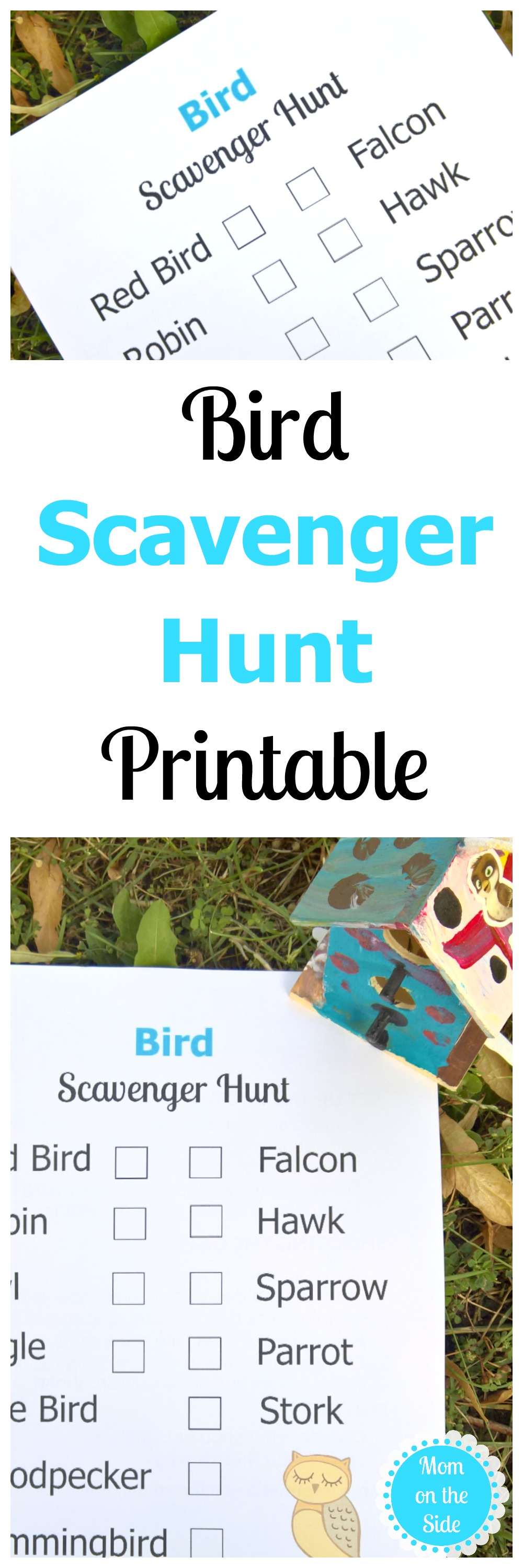 Printable Bird Scavenger Hunt Clues