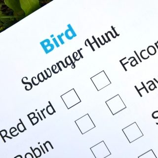 Fun Bird Scavenger Hunt for Kids