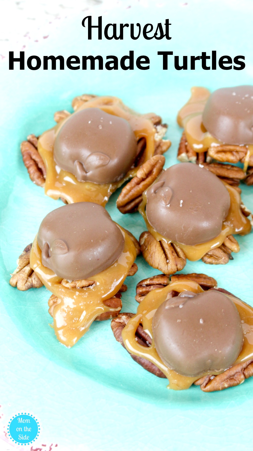 How To Make Turtles With Kraft Caramel Candy - Need Something Good to Eat?: Homemade Turtles ...