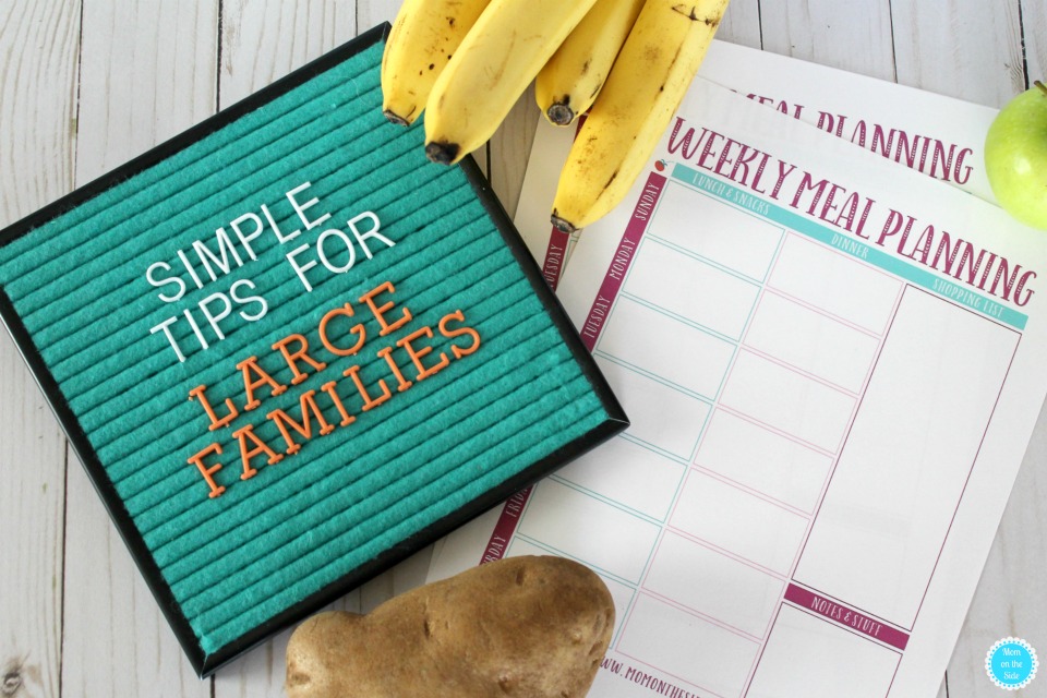 Simple Tips for Large Families: How to Save Money on Groceries for Large Families