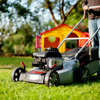 Yard Maintenance and Gardening Skills for Teens