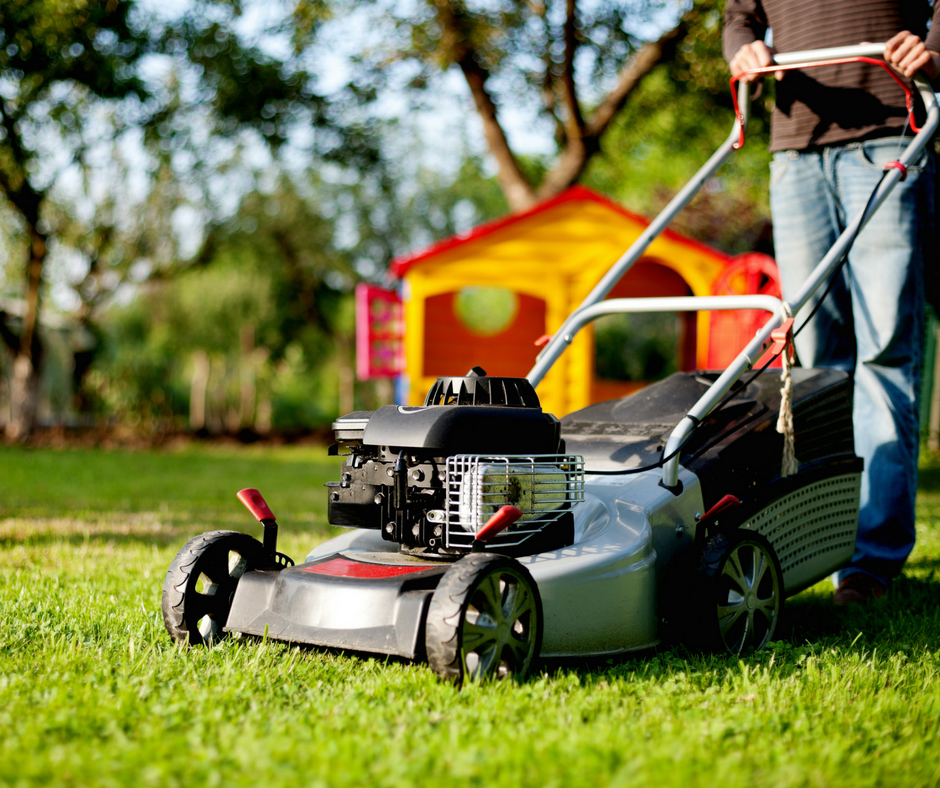 Yard Maintenance and Gardening Skills for Teens