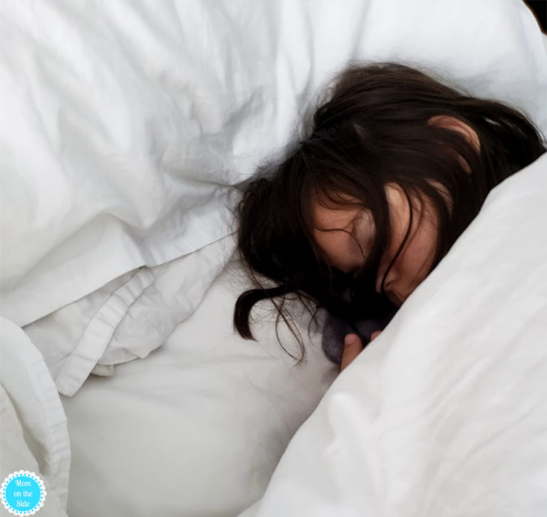 windjammer lauderdale