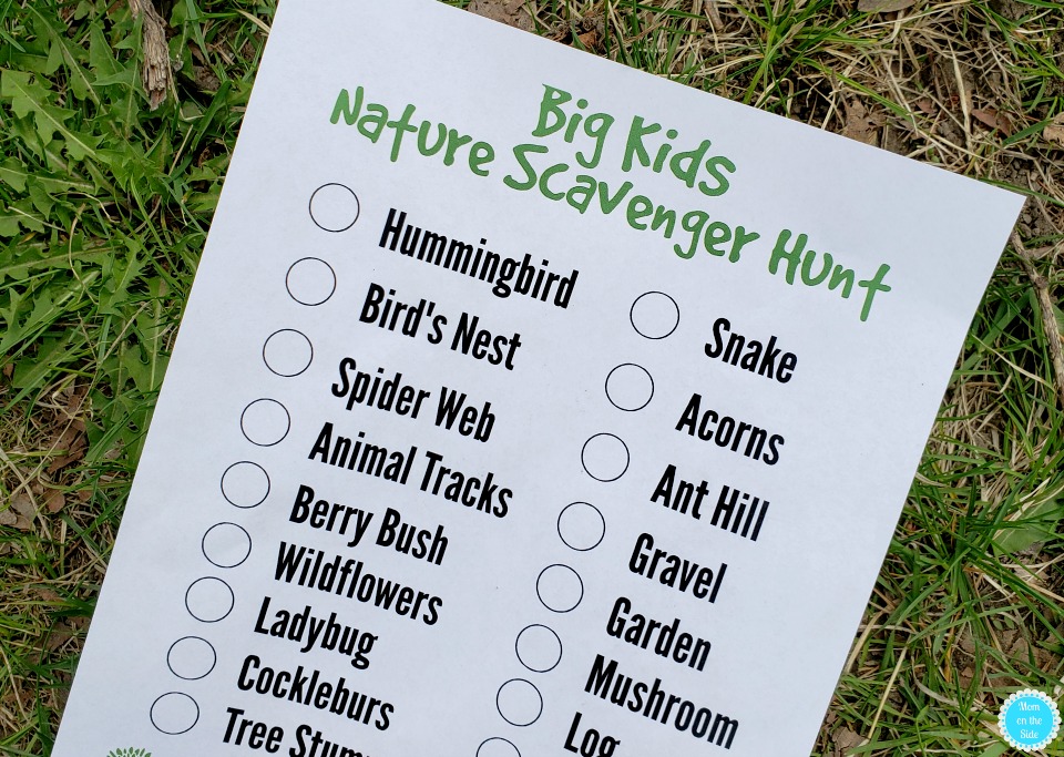 Big Kids Nature Scavenger Hunt Clues