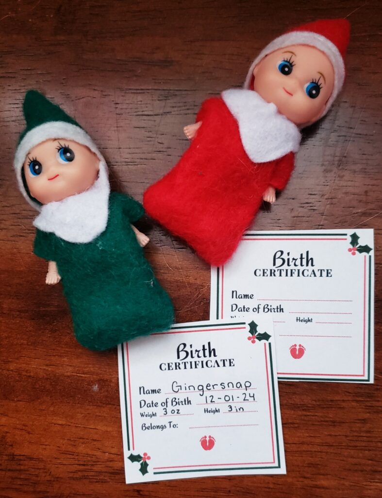 elf on the shelf baby ides - free printable birth certificate